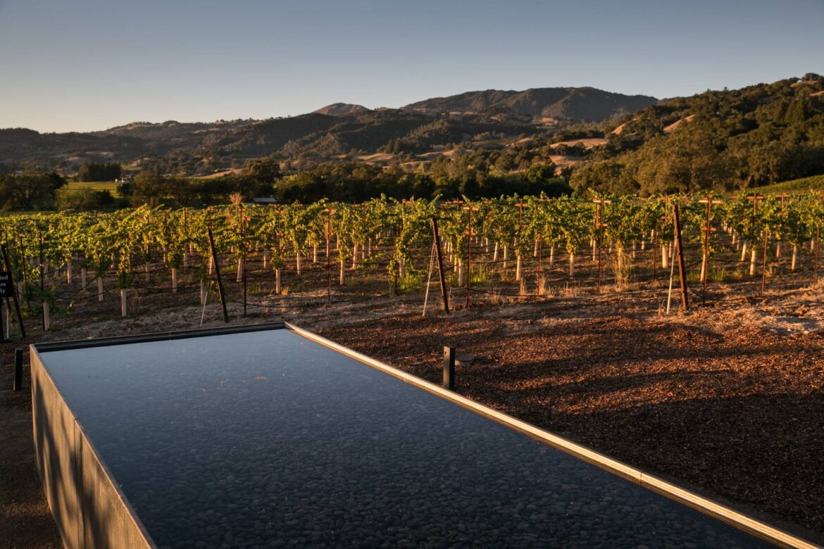 Latino Winemakers Bring New Life to Sonoma County Industry