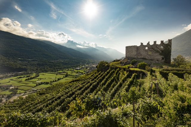 Enotria has strengthened its premium wine portfolio with 11 new producer partnerships spanning Italy, Germany, Austria, France, Australia, the US and Chile. The additions suggest a renewed focus on premium Italian wine as the distributor continues to rebuild momentum under Majestic Wine Group ownership.