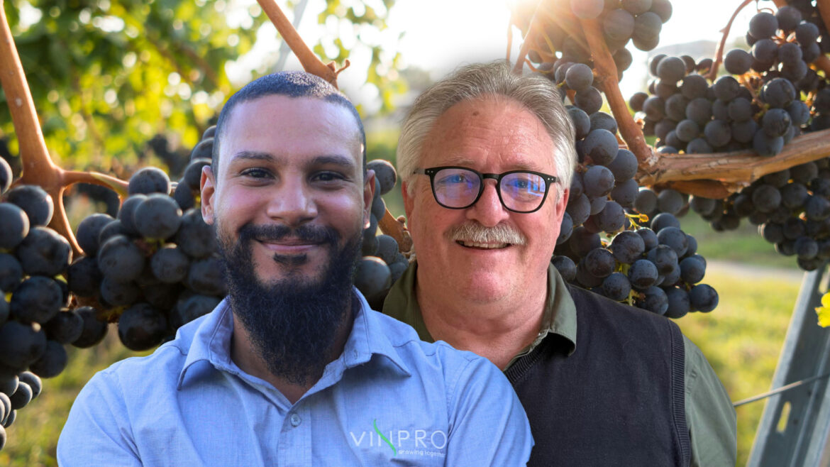 Advisory programme helps black wine farmers adapt and grow