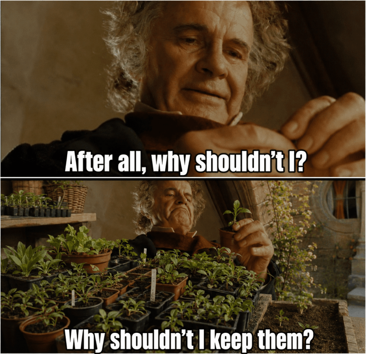 Never met a seedling I didn't like