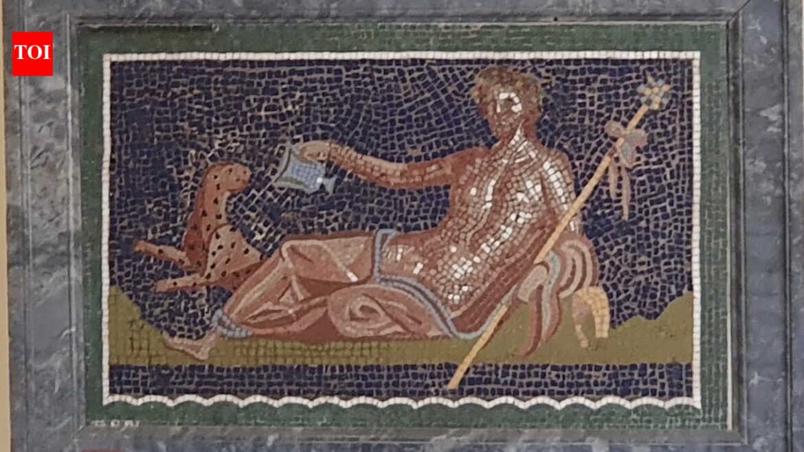 In 2022, scientists studying Herculaneum latrines recreated the meals eaten by ancient Romans | In 2022, scientists studying Herculaneum latrines recreated the meals eaten by ancient Romans |