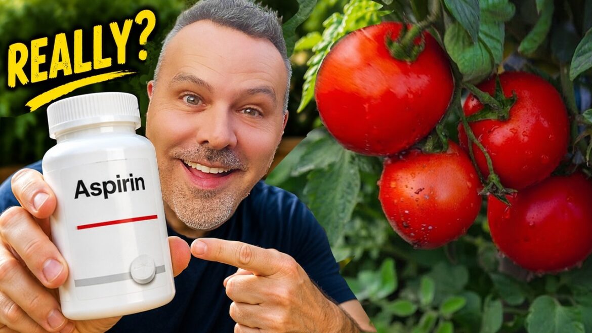 The 4 Most Surprising Products I Use in My Garden The 4 Most Surprising Products I Use in My Garden