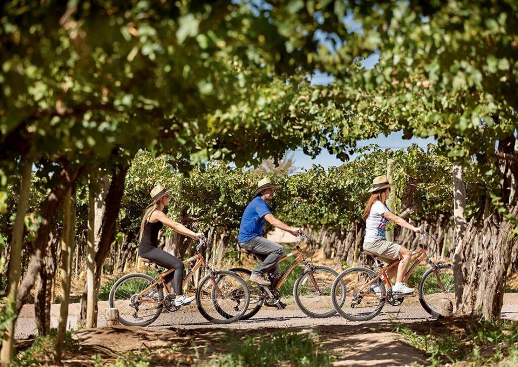 How to Visit Wineries in Mendoza Without a Car How to Visit Wineries in Mendoza Without a Car