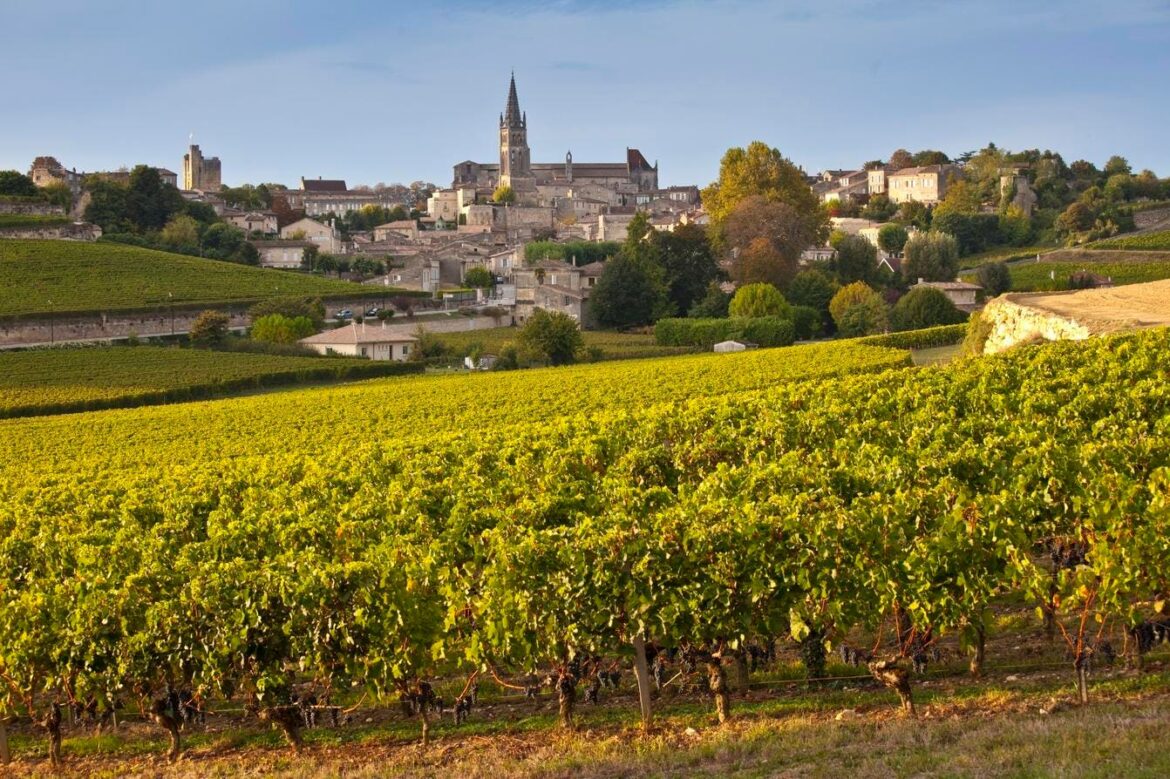 How Bordeaux Is Adapting Fine Wine For A Hotter Future How Bordeaux Is Adapting Fine Wine For A Hotter Future