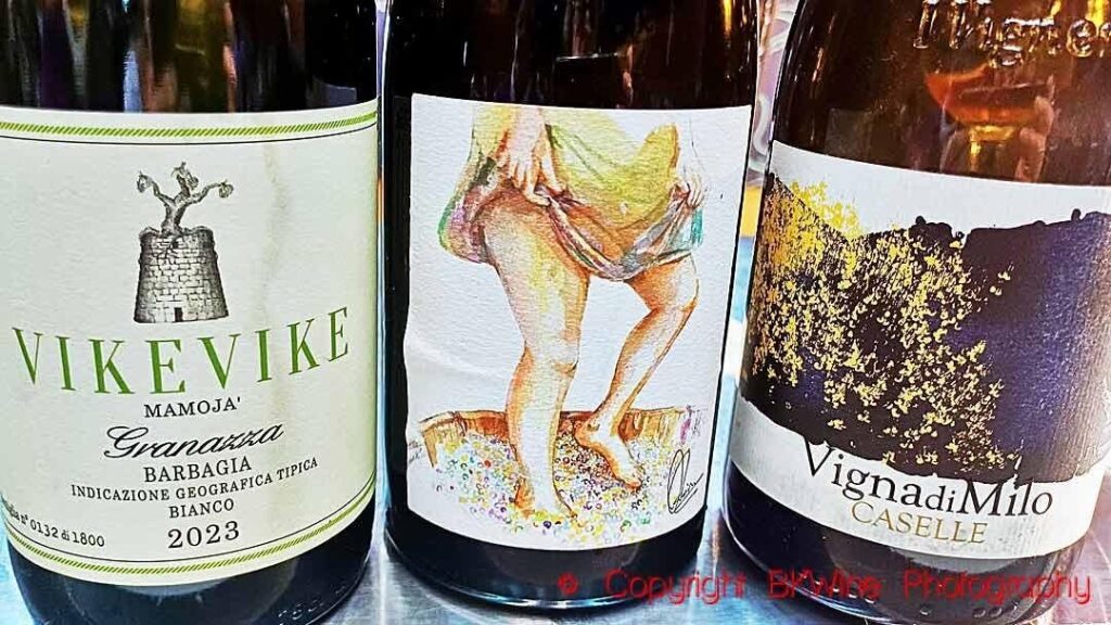 Island Wines In The Mediterranean And The Atlantic Ocean: Meet The Producers Island Wines In The Mediterranean And The Atlantic Ocean: Meet The Producers