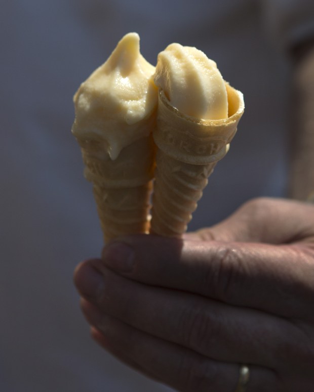 Garlic ice cream was one of the many garlic-flavored culinary treats offered during the 38th annual Gilroy Garlic Festival on Friday, July 29, 2016 in Gilroy, Calif. The massive event, which continues 10am to 7pm Saturday and Sunday, is expected to draw over 100,000 visitors for a buffet of garlicky activities and food. Garlic fans can expect the usual "Pyro Chef" displays in Gourmet Alley, cook-offs, arts and crafts and famous free garlic ice cream. A highlight this year: past festival presidents and legendary cooking duo Gene Sakahara and Sam Bozzo, made their last cooking appearance after 25 years of cook-off events. (Patrick Tehan/Bay Area News Group)