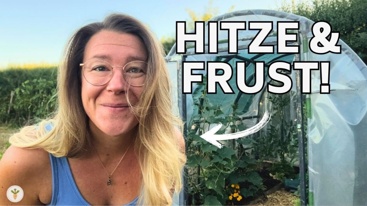 Gemüsegarten im Juli: Hitze, Lehmboden & Frust Gemüsegarten im Juli: Hitze, Lehmboden & Frust