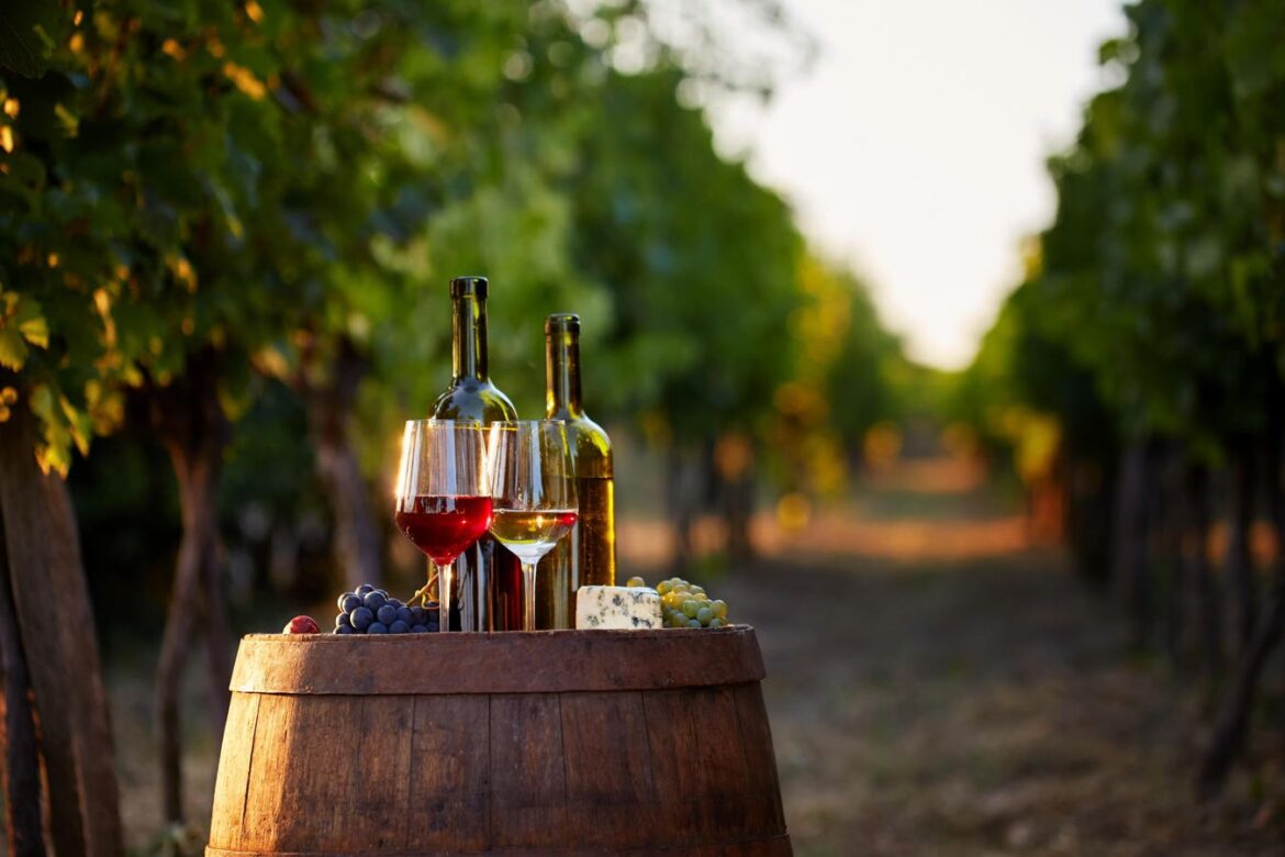 A New Woman-Owned Company Wants You To Experience Wine Like A Local A New Woman-Owned Company Wants You To Experience Wine Like A Local