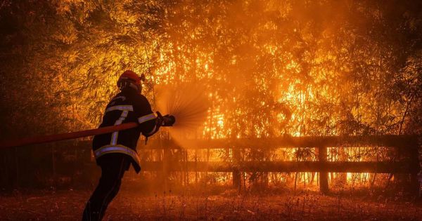 Wildfires in Spain and France hit the world’s two largest wine-growing nations — MercoPress Wildfires in Spain and France hit the world's two largest wine-growing nations — MercoPress