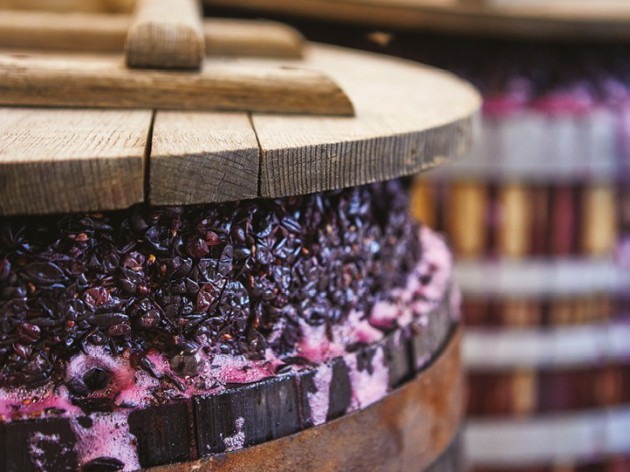France report: Trends in French wine France report: Trends in French wine
