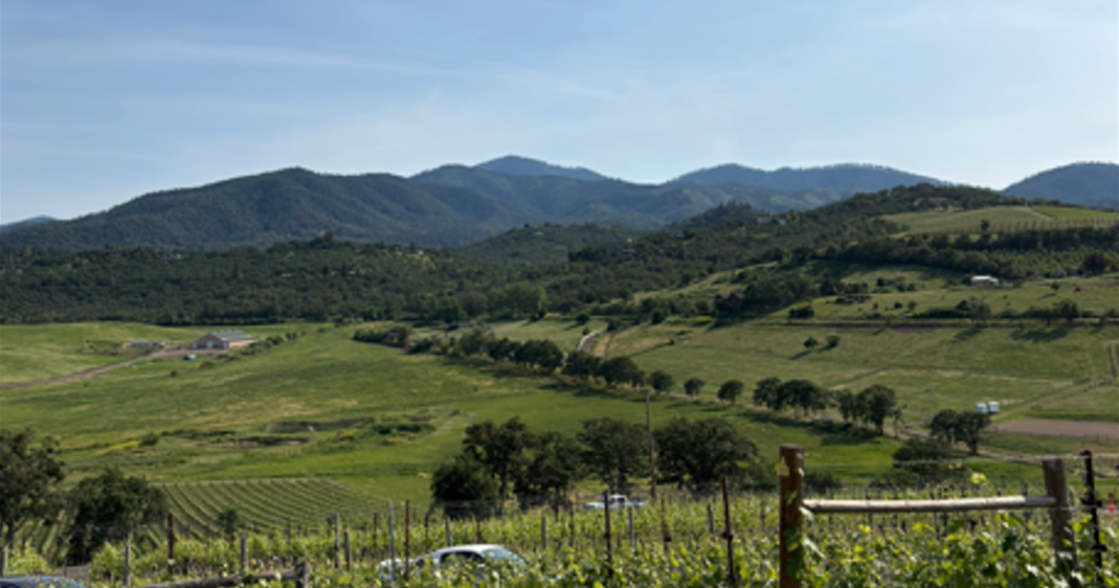 Rogue Valley deemed best wine region in the U.S. | Local Rogue Valley deemed best wine region in the U.S. | Local