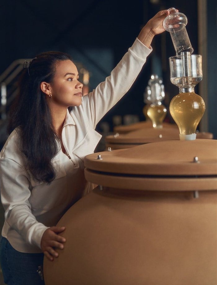 Hazendal’s new era of winemaking: Heritage, terroir and a new generation