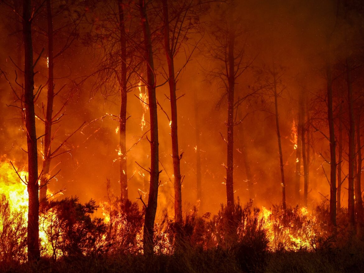 Photos: France, Spain battle ‘monster’ wildfires as more heat looms | Climate News Photos: France, Spain battle ‘monster’ wildfires as more heat looms | Climate News