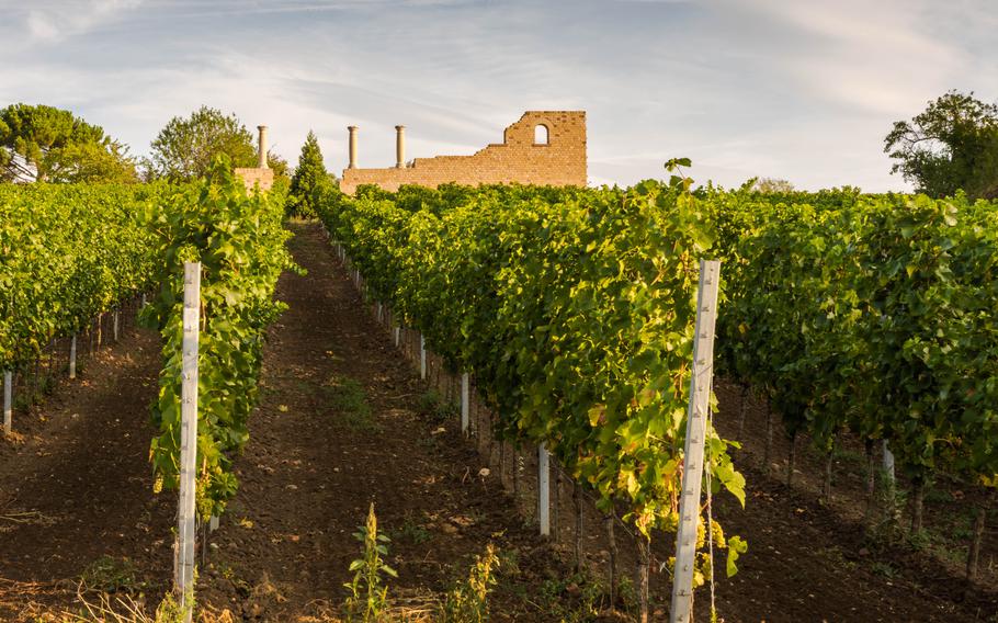 Roman estate Villa Rustica Weilberg near Bad Duerkheim, Rhineland-Palatinate, Germany