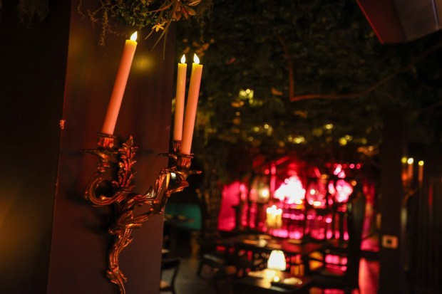 The interior of 'The House Noir' in Pittston on Friday, June 26, 2026. (JASON ARDAN / STAFF PHOTOGRAPHER)