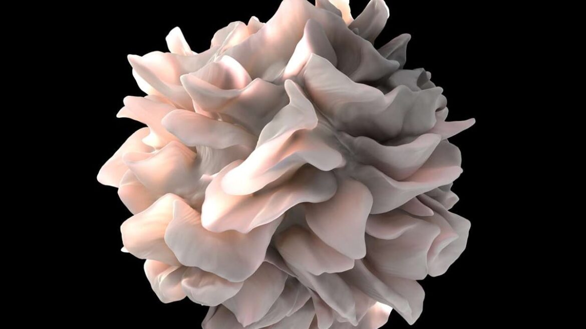 A Common Gym Supplement May Give Cancer-Fighting Cells an Energy Boost : ScienceAlert A Common Gym Supplement May Give Cancer-Fighting Cells an Energy Boost : ScienceAlert