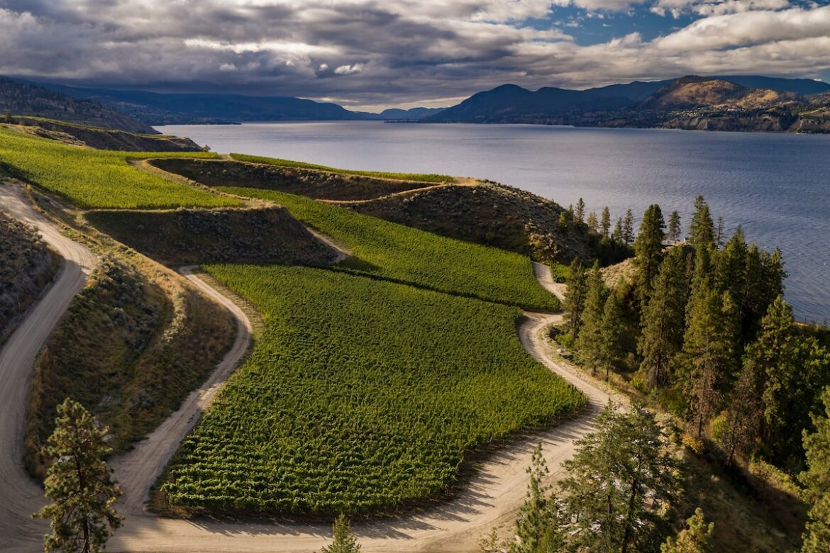 International wine critic gives the Okanagan an excellent report card