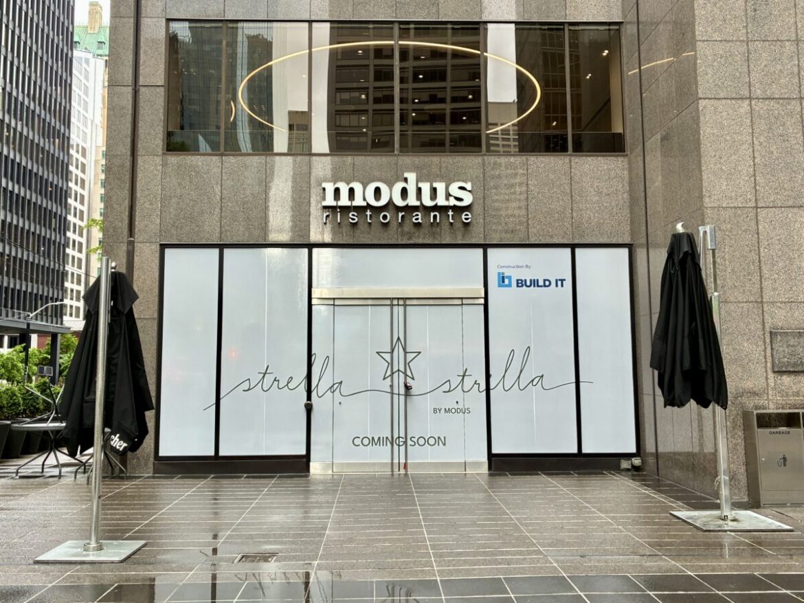 A New Generation Takes the Corner: Inside Modus Ristorante’s Reinvestment in the Financial District A New Generation Takes the Corner: Inside Modus Ristorante's Reinvestment in the Financial District