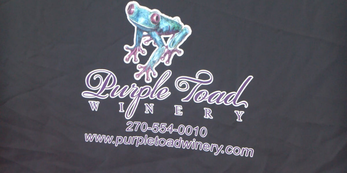 8th annual BG Wine Fest