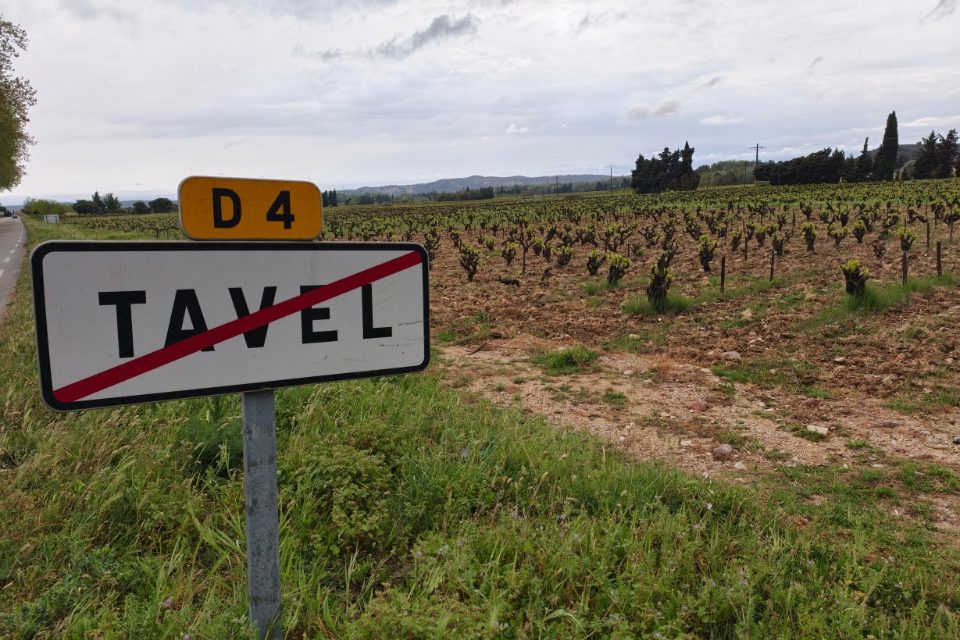 Tavel, deep rosé at a crossroads in France: will dictatorship of pale rosé win? Tavel, the deep rosé at a crossroads in France: will the dictatorship of pale rosé win? Doubtful producers: is pale pink better, like in Provence?