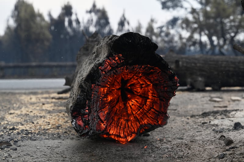 A tree trunk burns in Lanton, in the Lege-Cap-Ferret region (Emma Da Silva/AP)
