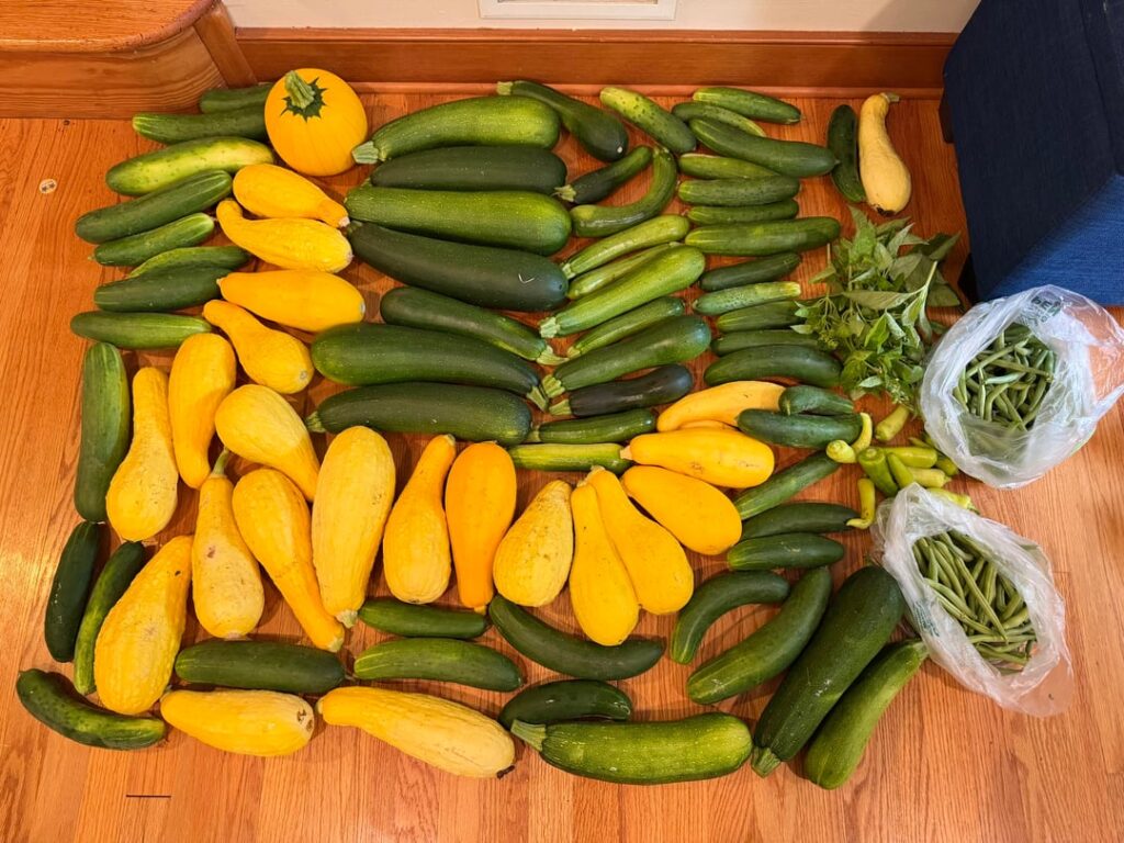 Good Harvest Good Harvest