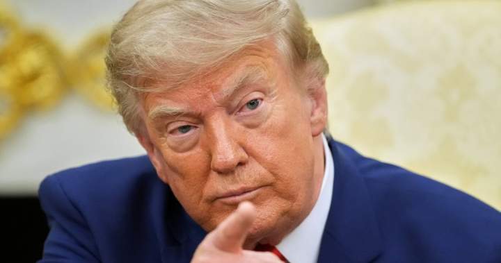 From wigs to wine, Canadian goods targeted in Trump’s latest tariff threats From wigs to wine, Canadian goods targeted in Trump’s latest tariff threats