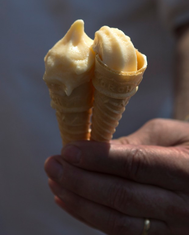Garlic ice cream was one of the many garlic-flavored culinary treats offered during the 38th annual Gilroy Garlic Festival on Friday, July 29, 2016 in Gilroy, Calif. The massive event, which continues 10am to 7pm Saturday and Sunday, is expected to draw over 100,000 visitors for a buffet of garlicky activities and food. Garlic fans can expect the usual "Pyro Chef" displays in Gourmet Alley, cook-offs, arts and crafts and famous free garlic ice cream. A highlight this year: past festival presidents and legendary cooking duo Gene Sakahara and Sam Bozzo, made their last cooking appearance after 25 years of cook-off events. (Patrick Tehan/Bay Area News Group)