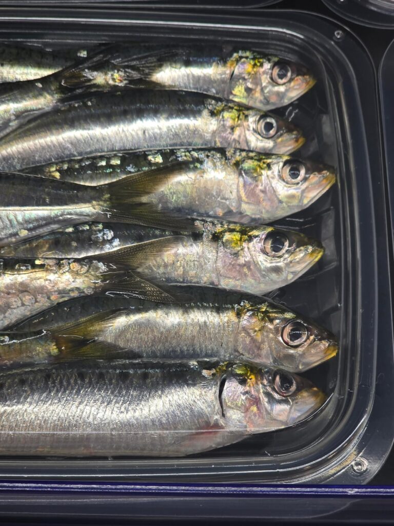 Mercadona has cleaned freah sardines now