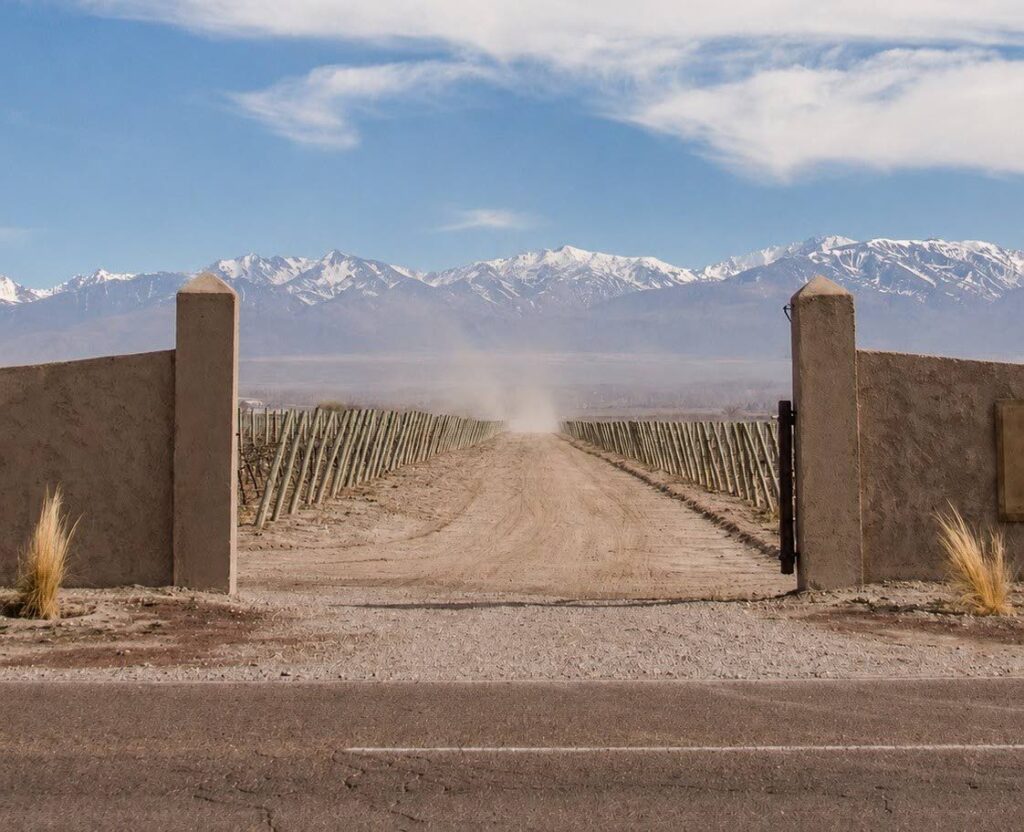 Finca Don Carlos Doubles At The 2026 Decanter World Wine Awards Finca Don Carlos Doubles At The 2026 Decanter World Wine Awards