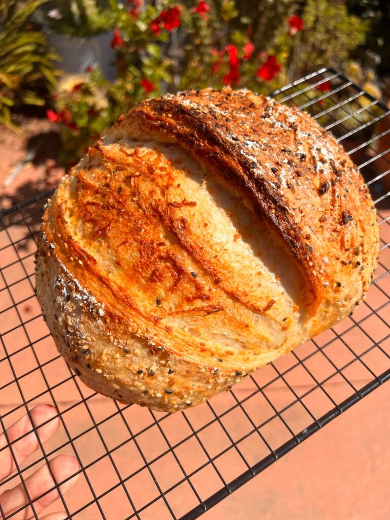 I baked a few loaves today! I baked a few loaves today!