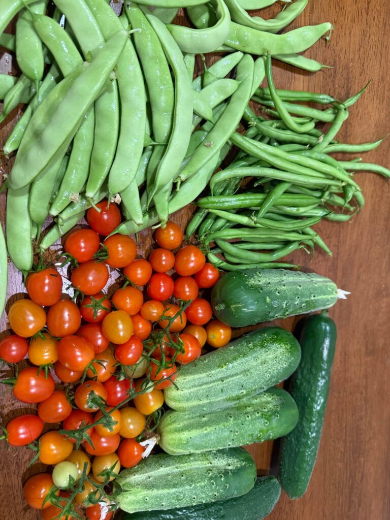 September Harvest