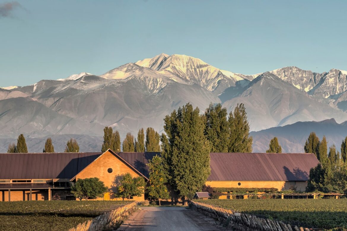 A chardonnay drinker expands her wine horizons in Argentina A chardonnay drinker expands her wine horizons in Argentina