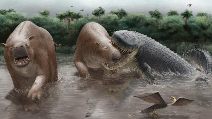 Reconstruction of Purussarus neivensis attacking Pericotoxodon platignathus. Credit Miguel Hernandez