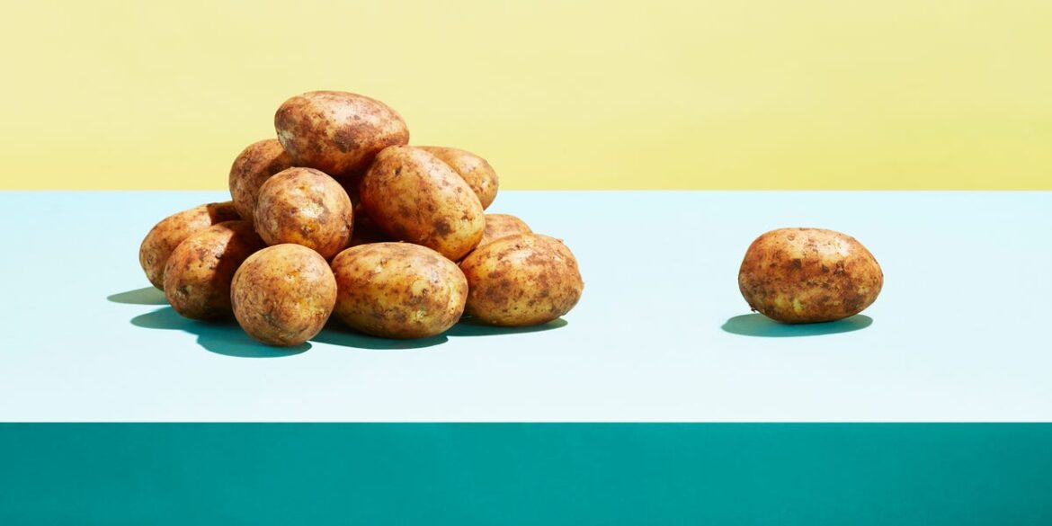 This Harvard Study on Potatoes Shocked Experts. Should You Rethink Your Next Meal?