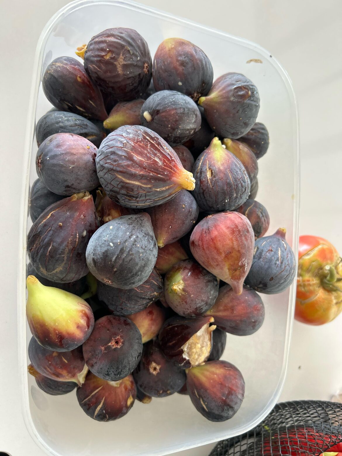 Today’s fig haul! Looking for recipes so they don't go to waste.