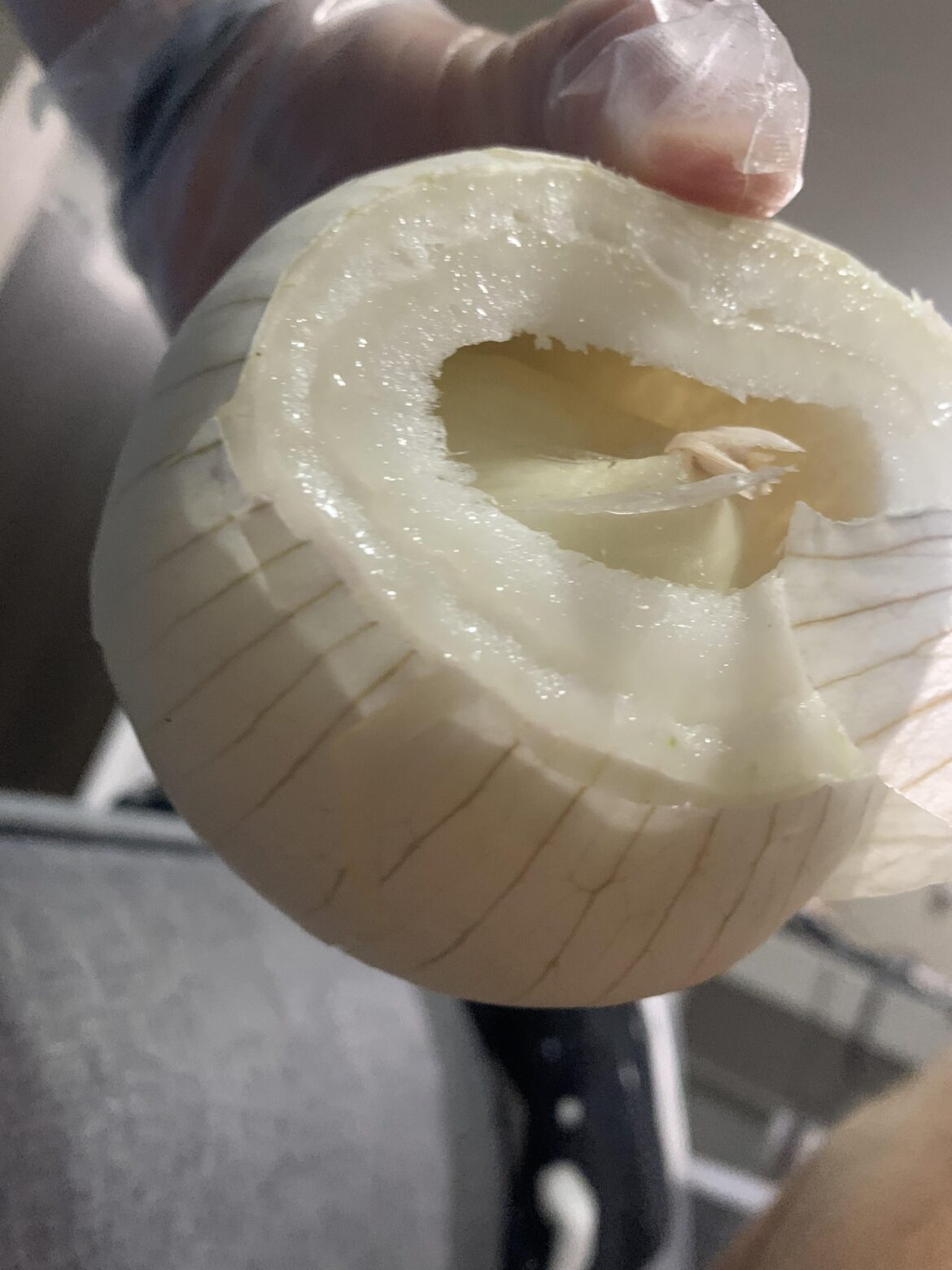 Double Onion!