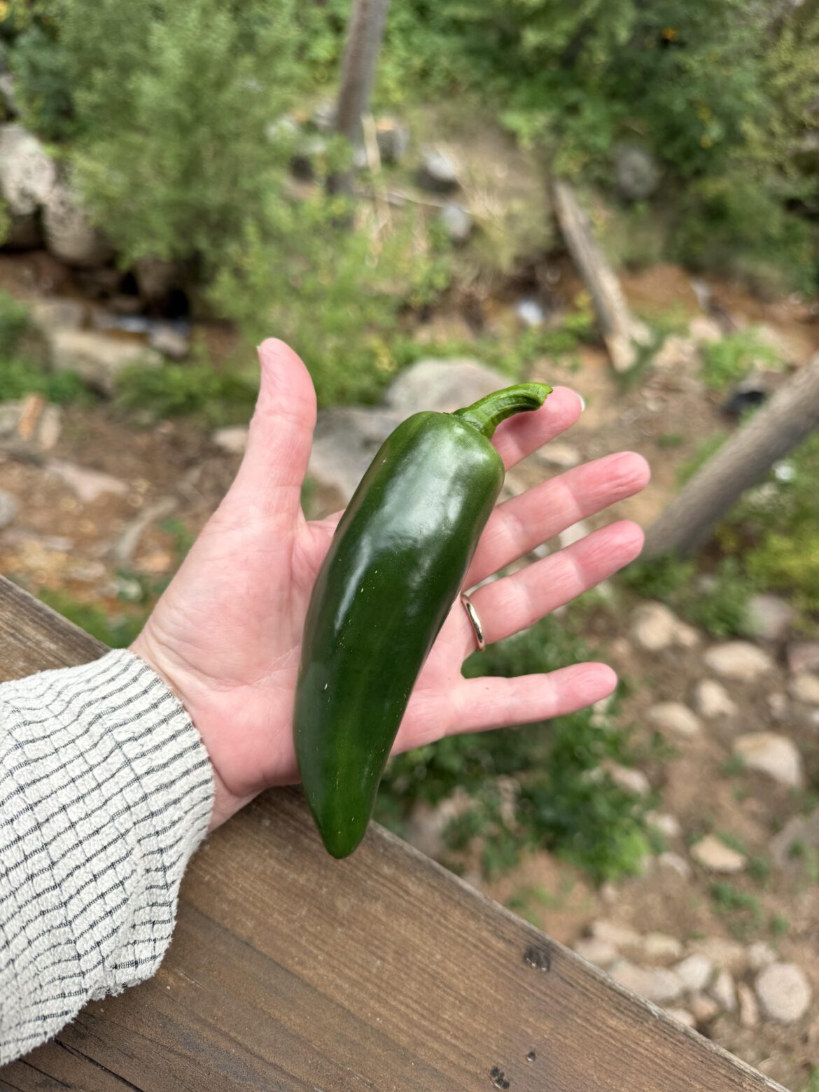I grew this!