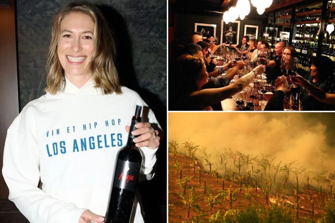 Napa Valley vineyard ravaged by 2020 Glass Fire gets new owners