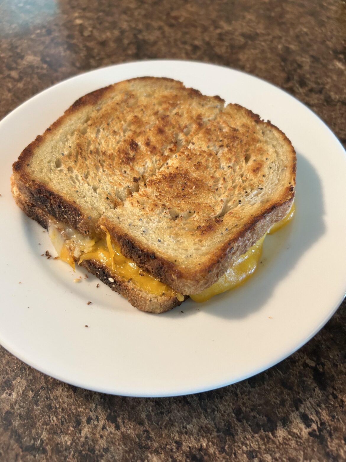 Sharp cheddar, Swiss, marble jack on everything sour dough