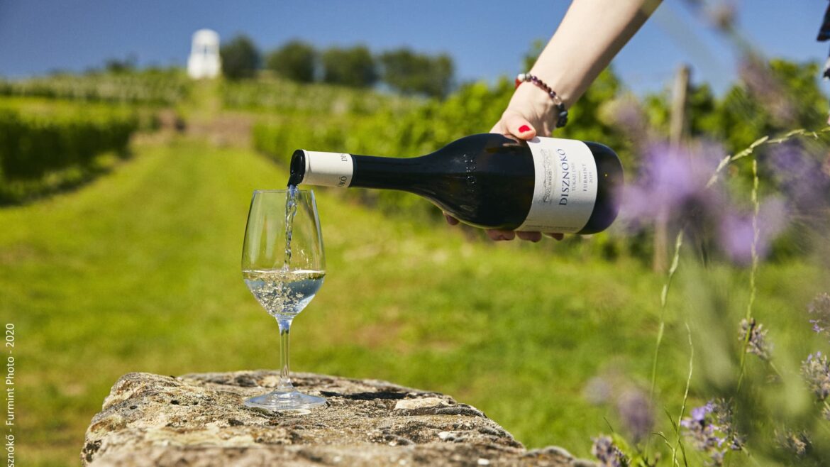 Hungarian wine: Tokaj region is booming beyond Tokaji Aszú Hungarian wine: Tokaj region is booming beyond Tokaji Aszú
