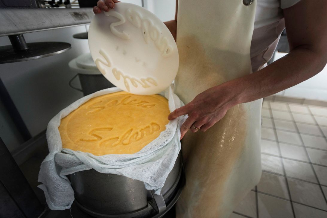 This summer, many producers of Salers — a semi-hard, raw cow’s milk cheese — had to halt production.