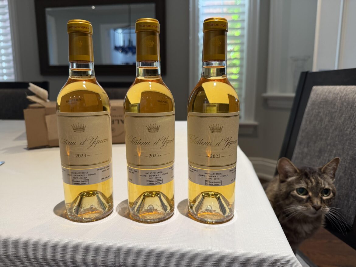 2023 d’Yquem