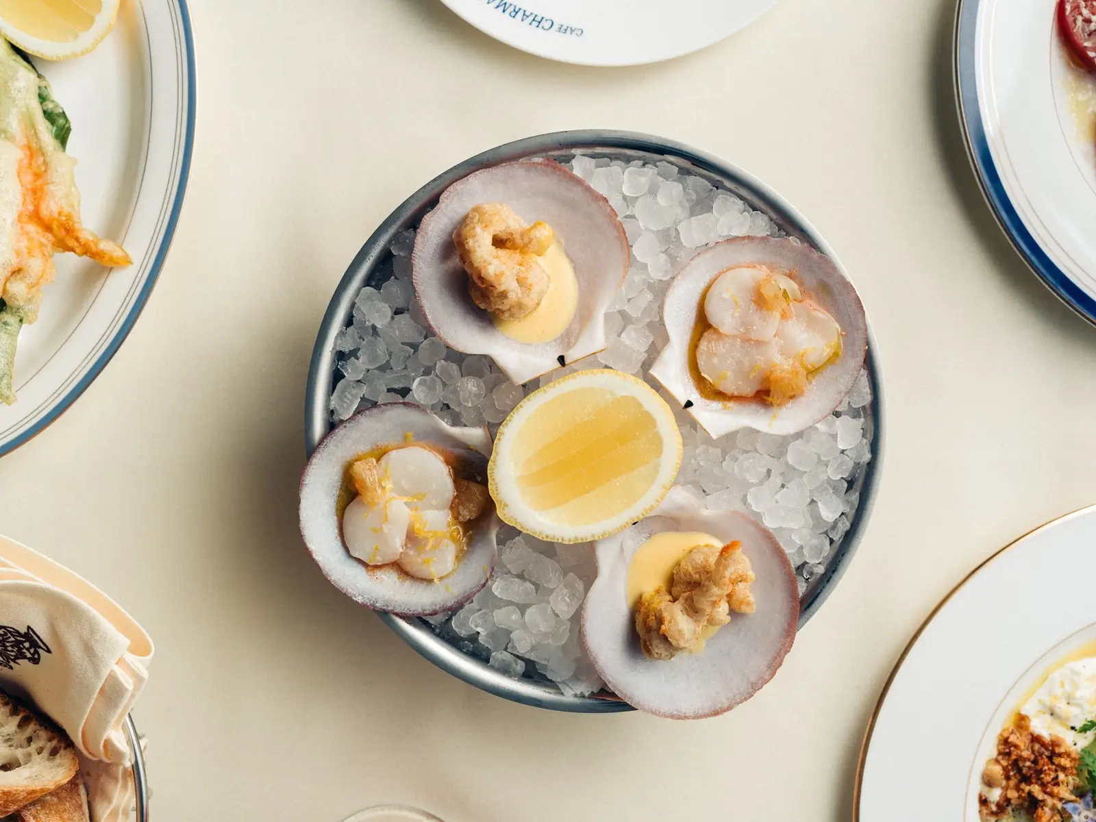 Diver Scallop Crudo