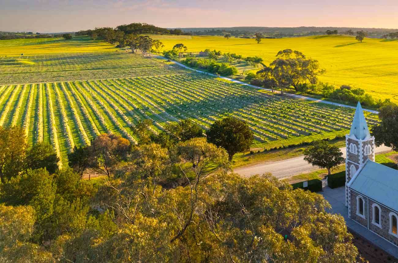 Henschke-Hill-of-Grace-Vineyard