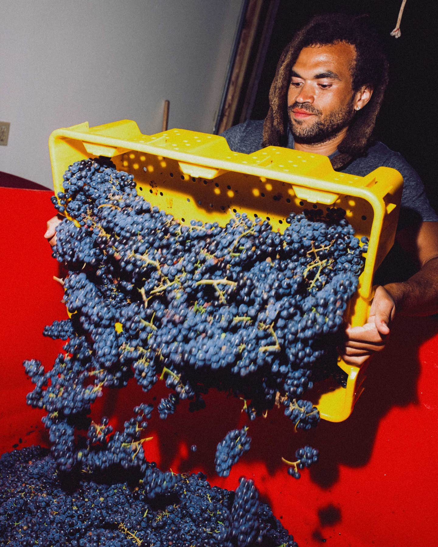 A farmer placing a crate of grapes on a table.
