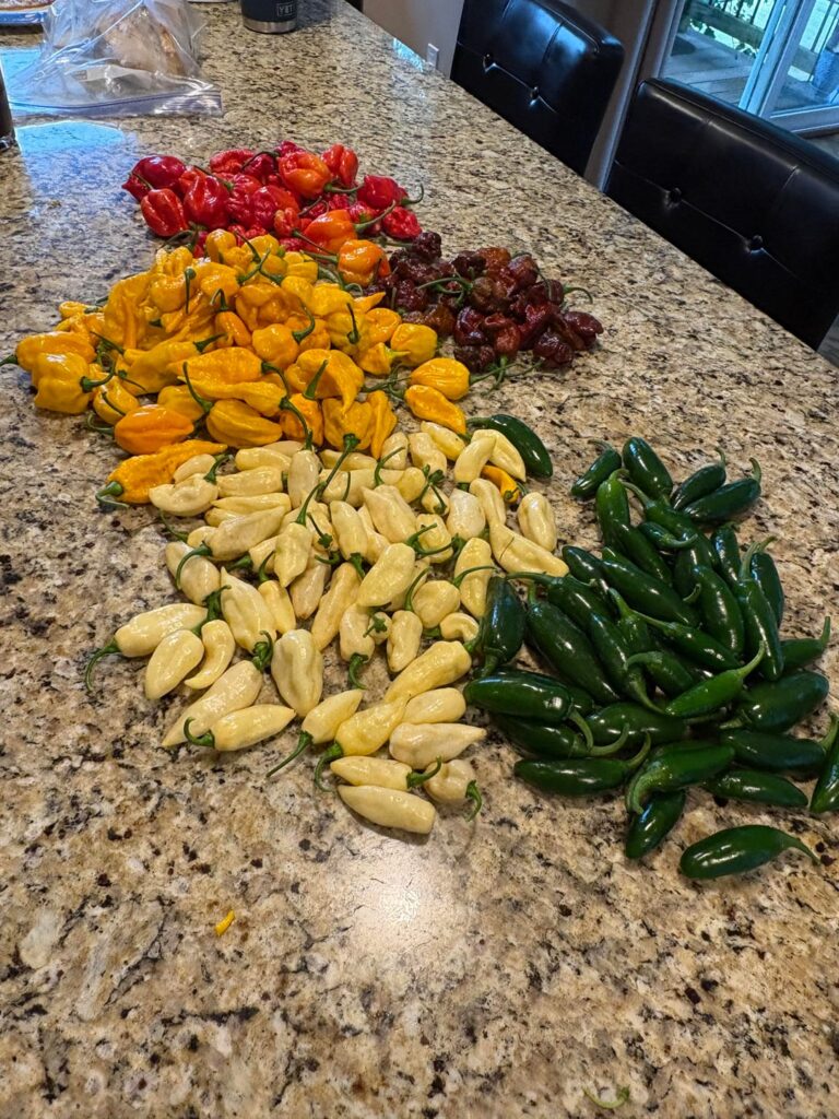Help with pepper ID