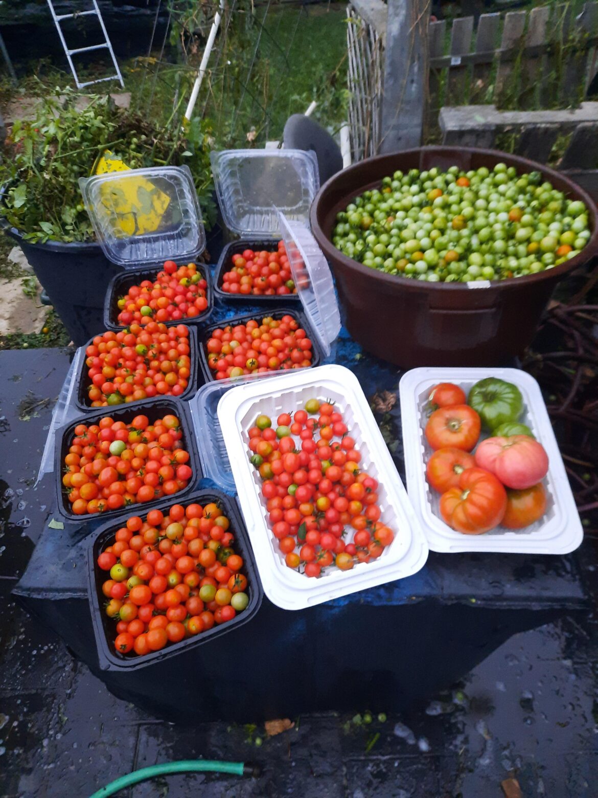 Donation to the food bank
