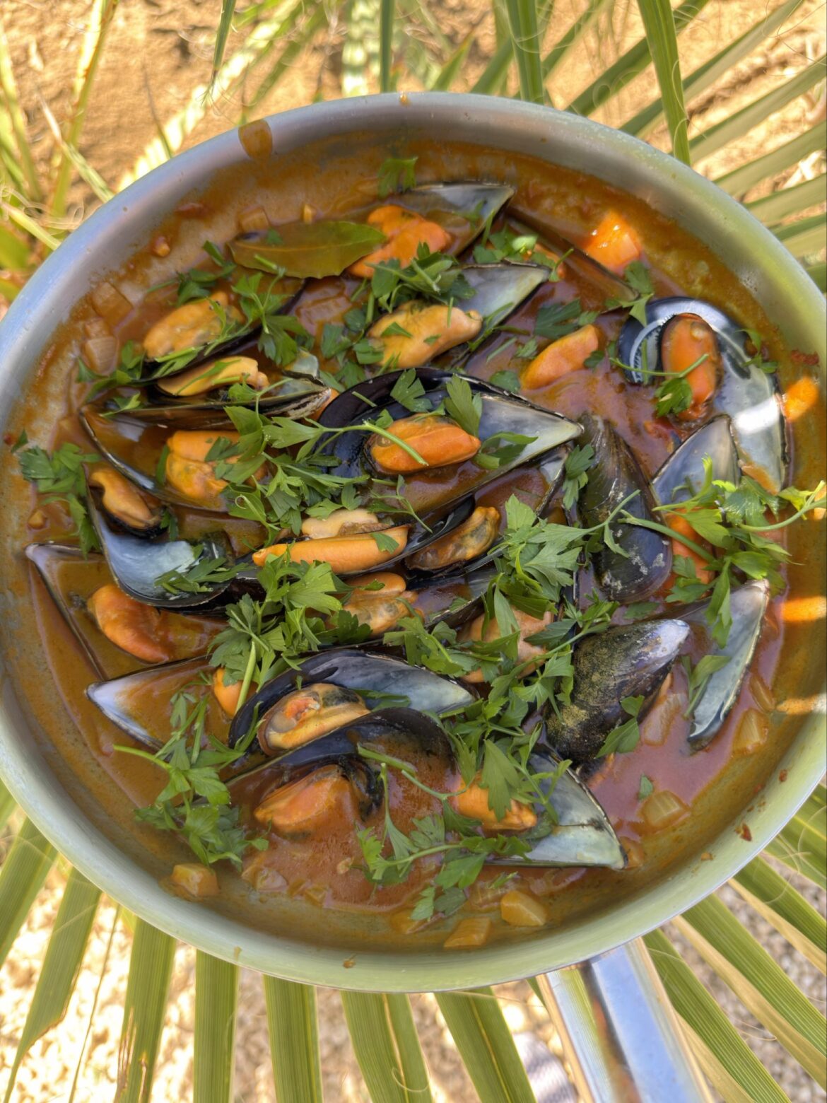 Irresistible Spanish-Style Mussels Irresistible Spanish-Style Mussels