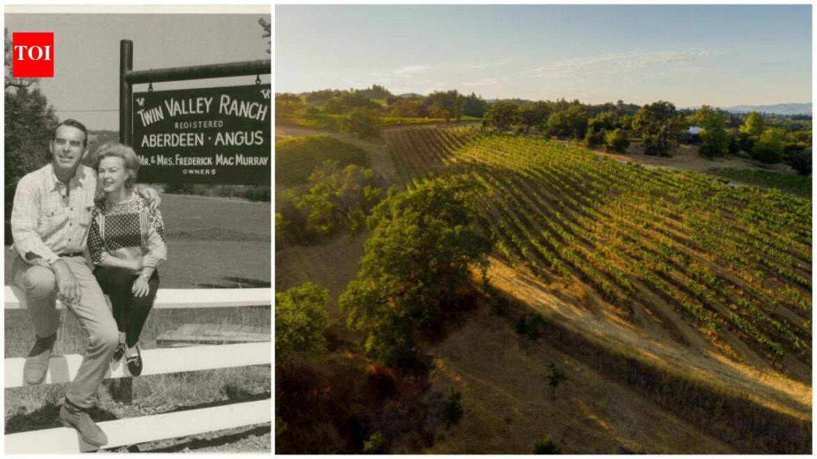 Fred MacMurray raised cattle on his 1,750-acre California ranch; part of it, the 52-acre Flax Estate and Vineyard, now owned by Jeffrey Ubben and Laurie Ubben, lists for $22 million after their $21 million purchase in 2016